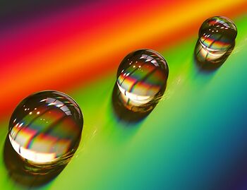 Synthetic Biology Foundations Prism