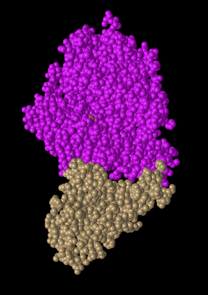 File:Sphere Kam tag.png