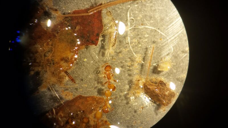 File:20160212 130659.jpg