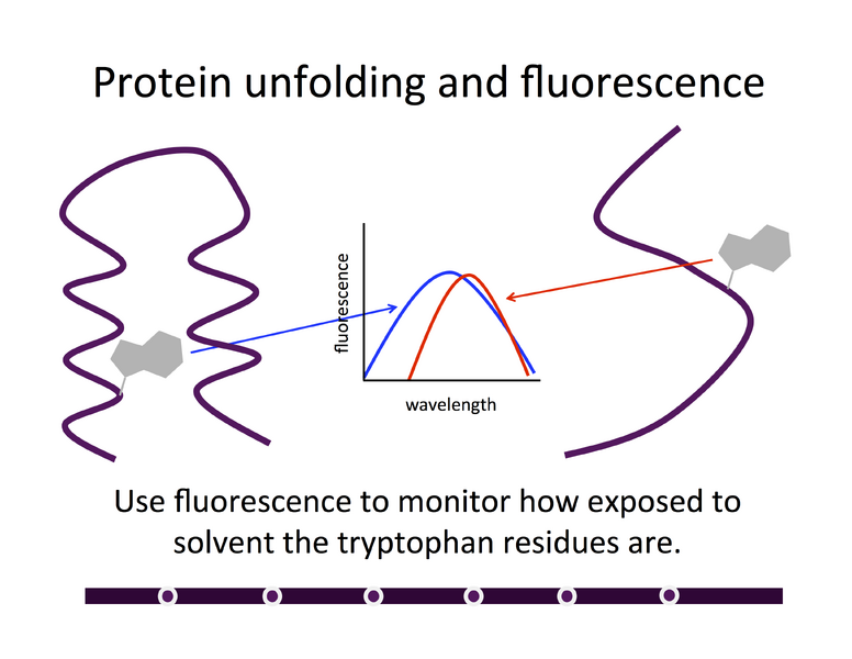 File:AU BDL Description Fluorescence1.png