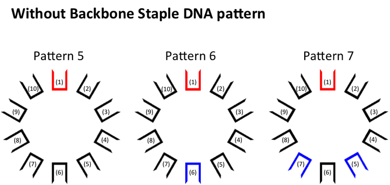 File:背骨なしパターン概要図.png