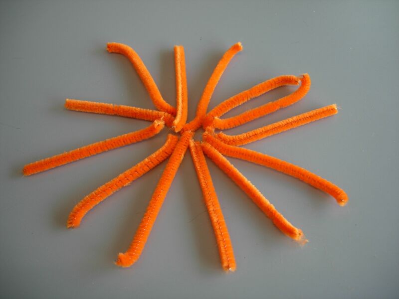 File:Cornell straight antennae.jpg