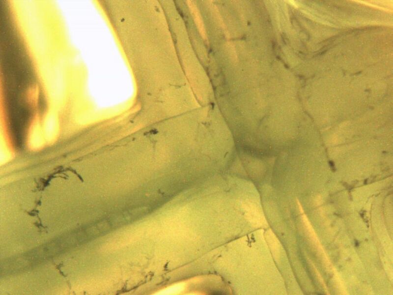 File:H2O heated myo.jpg