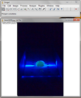 Double stranded DNA positive control. Photo credit: Wed 9:30am Group 2