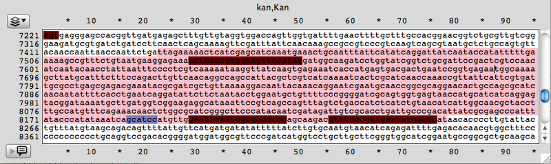 File:2013 05 08 Kan casette.jpg