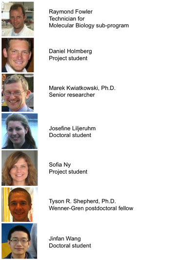 Minimal Cell Project