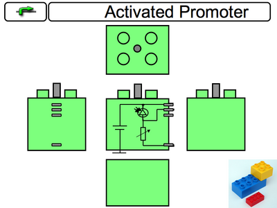 Activated Promoter Component
