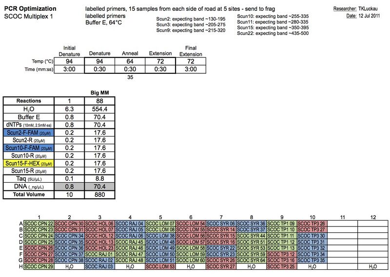 File:20110712 PCR.jpg