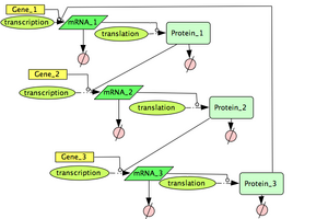 Repressilator Genetic Circuit