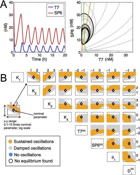 File:ClockTrajectoriesAndPhase.jpg