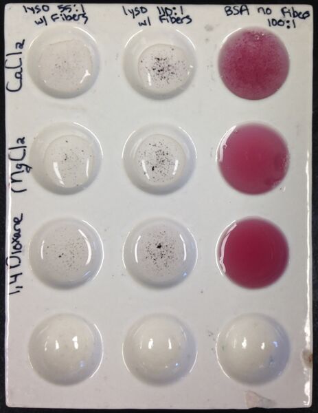 File:Feb 19, 2014 Pic 2.jpg