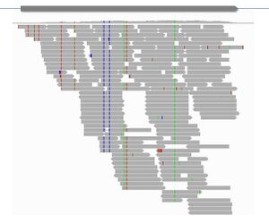 Short reads mapping to a reference