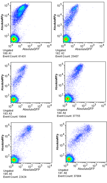 File:March09 2006 Q04400 lib cal.png