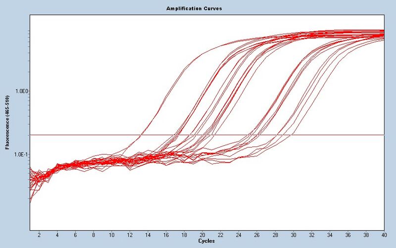File:S13 M3D5 TR CNI-noiseband.jpg