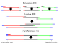 Thumbnail for version as of 22:01, 14 September 2011