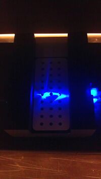 Light leaking from the non-DNA water droplet