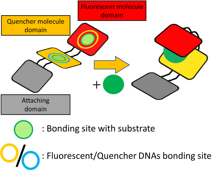 File:Biomod-2012-utokyo-uthongo-motives-structure-in-detail.png