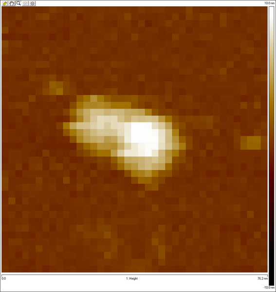 File:Biomod4.bmp