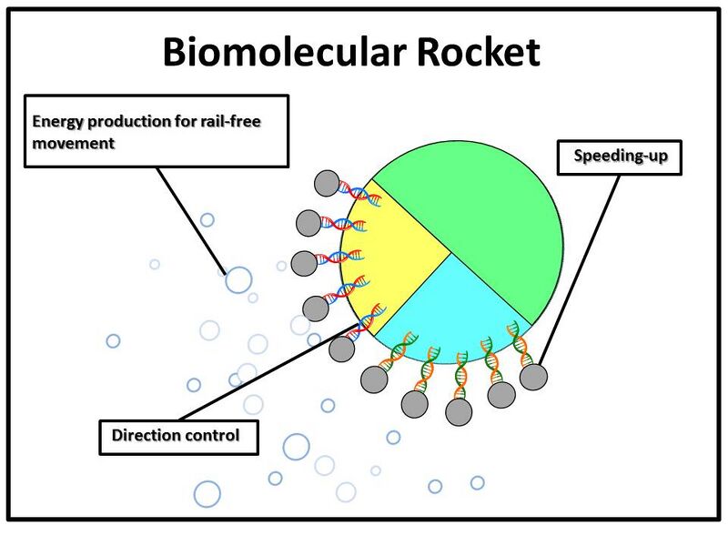 File:Biomolecular Rocket.jpg