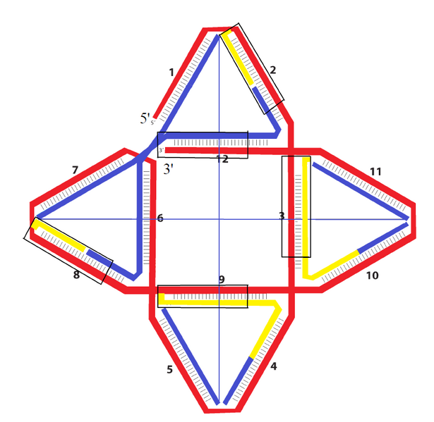 File:DKnano RNARNAblueprint.png