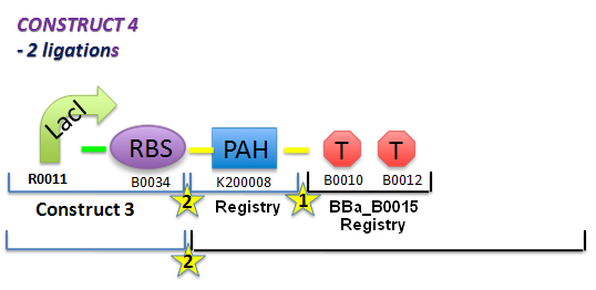 File:II09 ConstM1bbnew.jpg