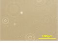 Thumbnail for version as of 04:05, 27 October 2013