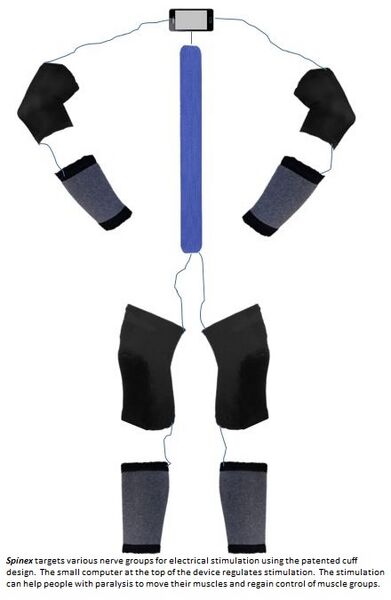 File:Spinex device.jpg