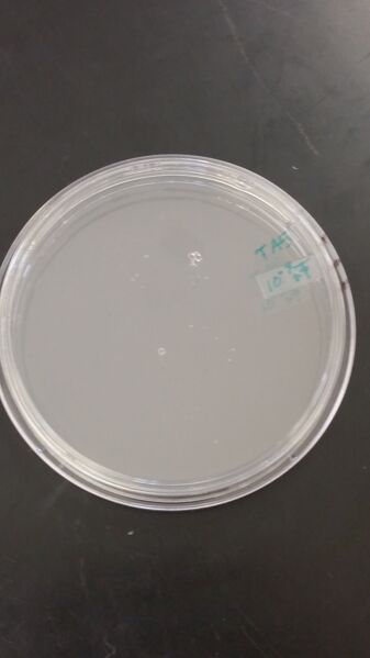 File:Tyler Faulkner Serial 10^-9 + T.jpg