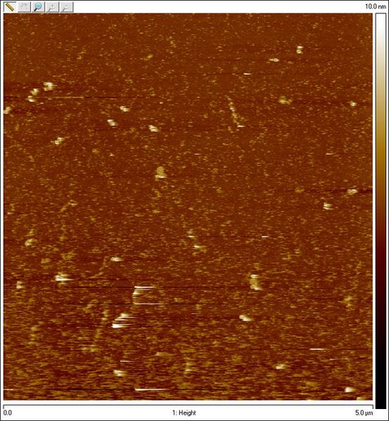 File:2011-08-04 amiconclosedsphere1.jpg