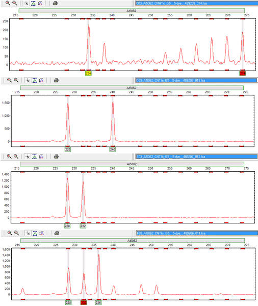 File:20120123 Ai5062.png