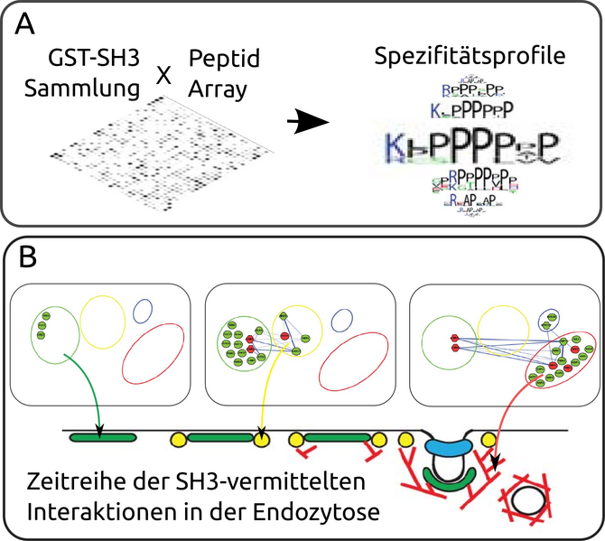 File:Penelope fig1.png