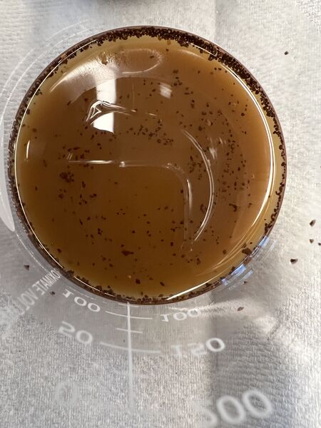 File:Preparation CG ACS.jpeg