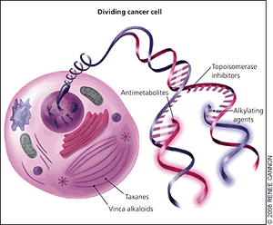 Reference:DAVID E. GERBER, MD, University of Texas Southwestern Medical Center, Dallas, Texas Am Fam Physician. 2008 Feb 1;77(3):311-319.