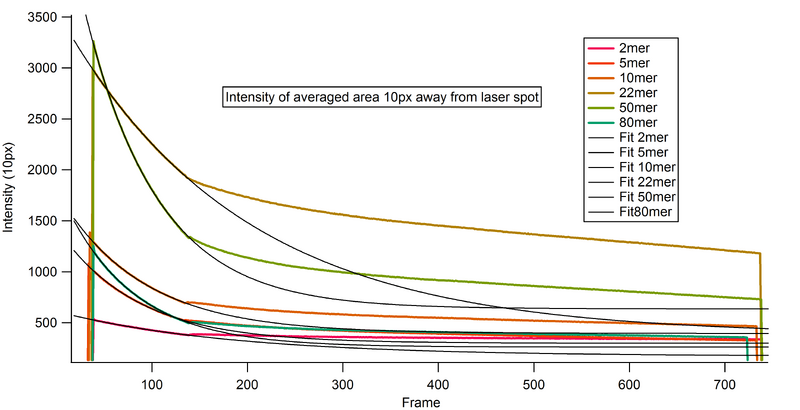 File:Chris nie Ares with expo.png