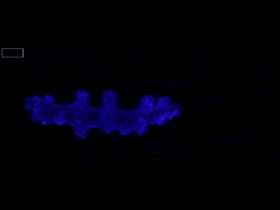Pterogorgia guadalupensis sclerite - SPIM Microscopy 3D Reconstruction.