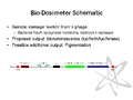 Thumbnail for version as of 18:35, 30 May 2007