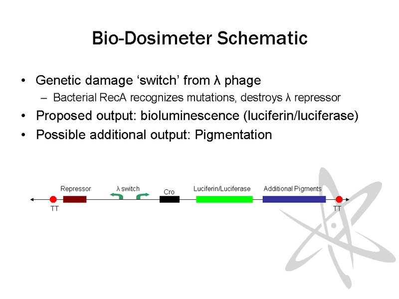 File:PSU GFL 2007 BD Slide5.PNG