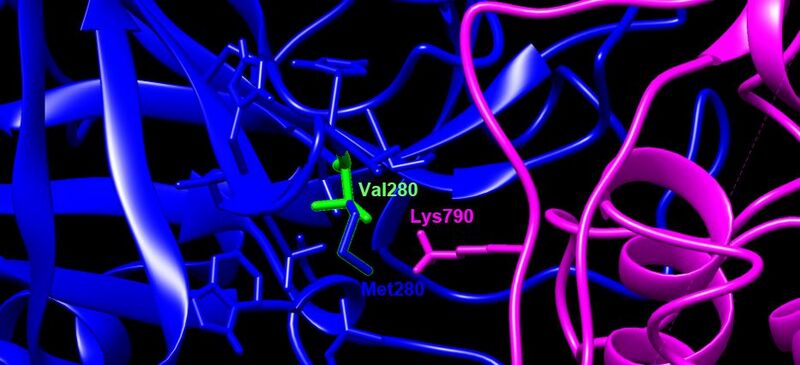 File:V280M retain.JPG