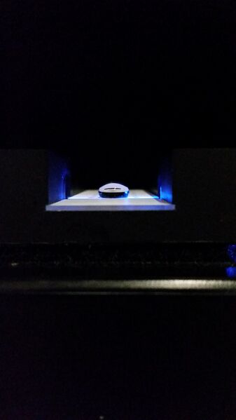 File:20161026 100210-8-.jpg