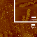 Thumbnail for version as of 18:19, 25 October 2012