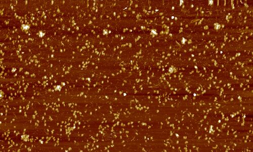 2-pot reaction with both L-DNA strands 1:1 (design 3) templated (5μm)