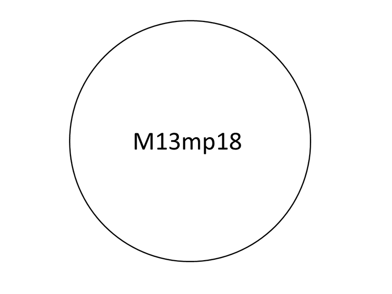 File:M13 cut2.gif