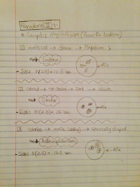 File:Rsz img 0298.jpg