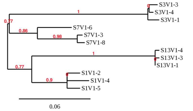 File:Screen Shot 2020-02-13 at 3.18.40 PM.png