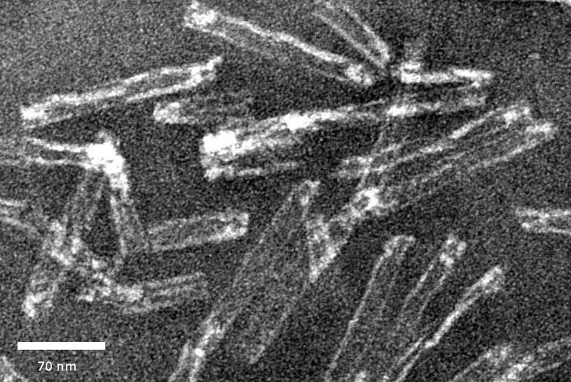 File:Tem dimersV.jpg