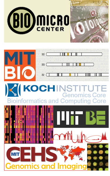 File:BMC Logo Large.png