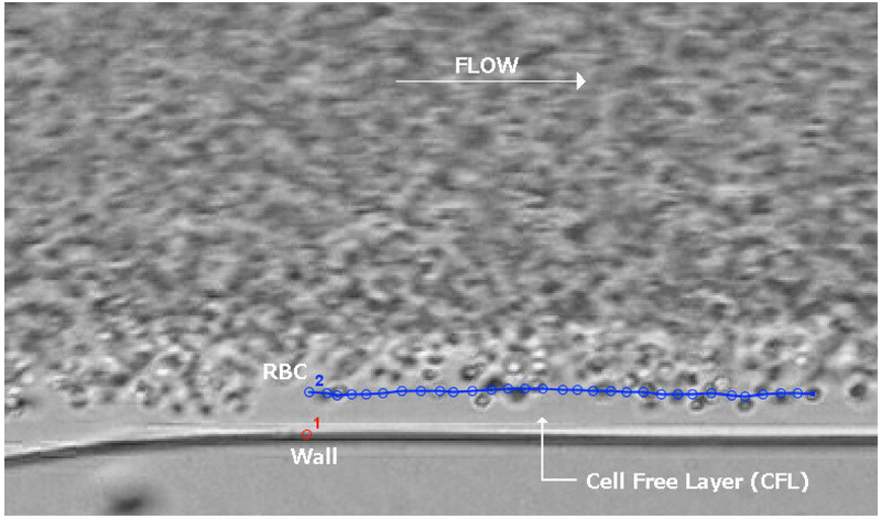 File:CFL in vitro.png