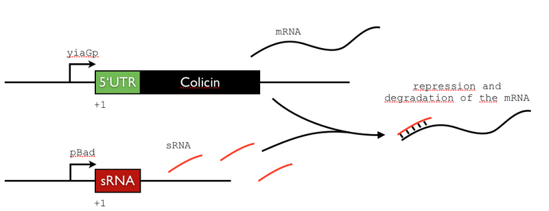 File:Capture d’écran 2012-07-19 à 15.41.23.png