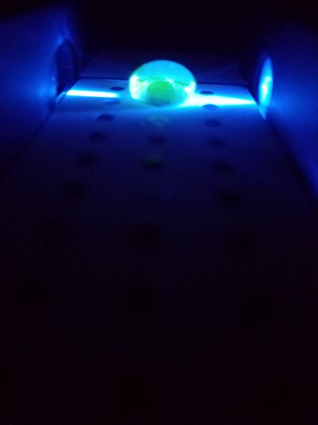 File:G3 Pos 1 EA.jpg