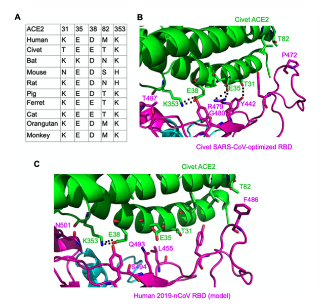 File:Nathan figure4.png